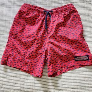 Boys swim trunks